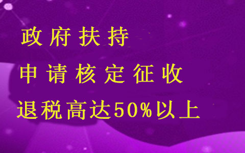 合伙企業(yè)/個(gè)人獨(dú)資企業(yè)稅