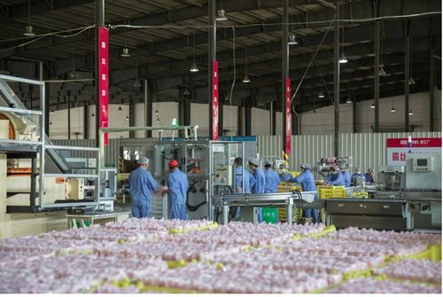 抖音電商 遇見好國貨 助力品牌煥新,傳統(tǒng)日化工廠在抖音商城完成轉型